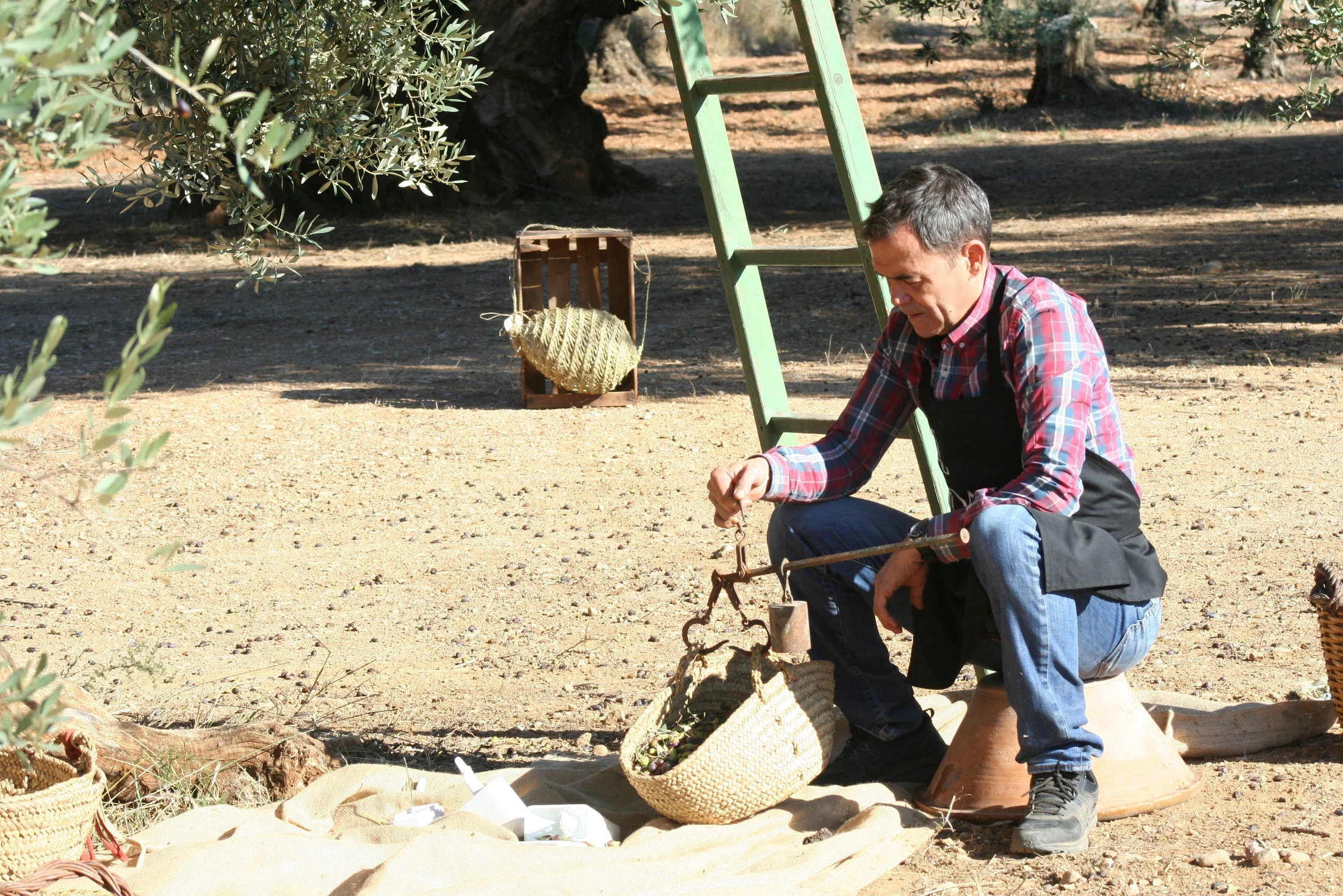 Traditional harvest